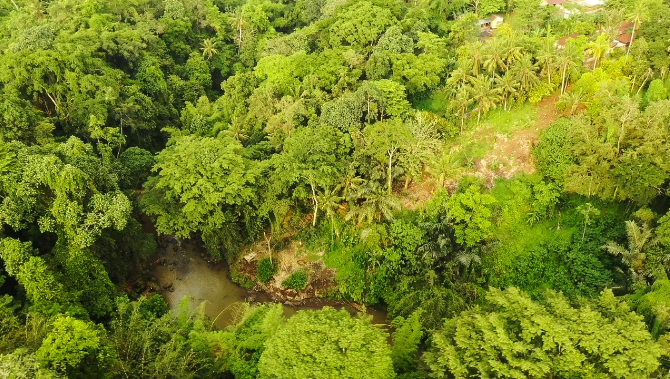 Drone view over the green Buwit river landscape