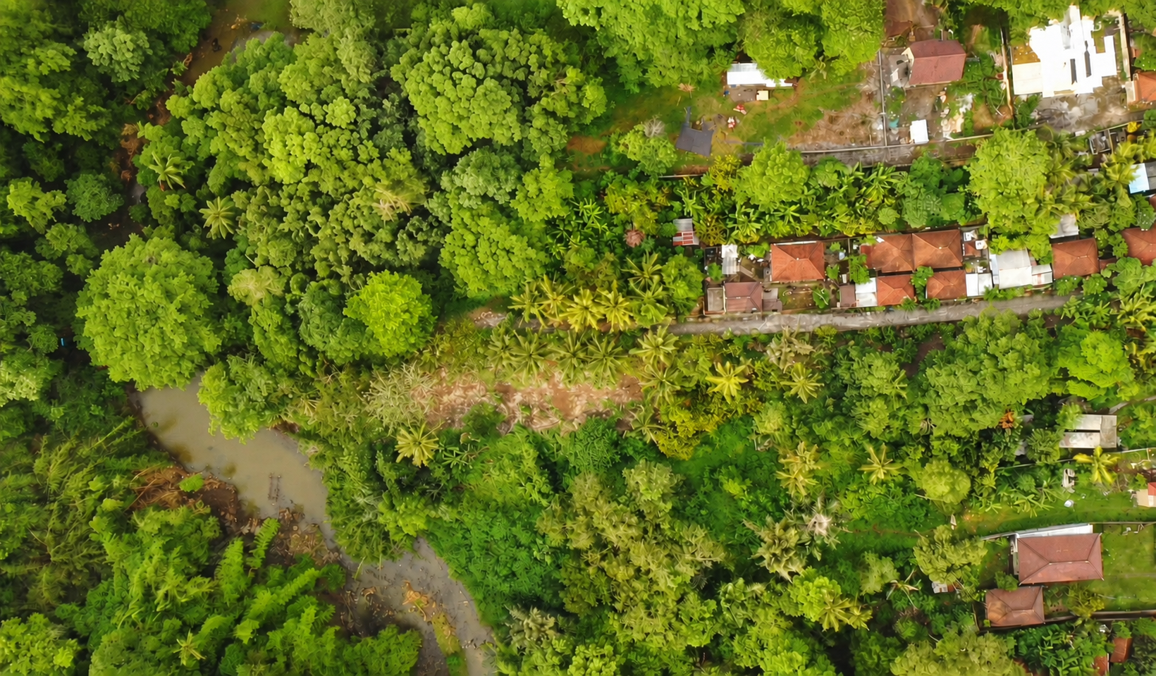 Aerial view of Buwit land, river, greenery and access road